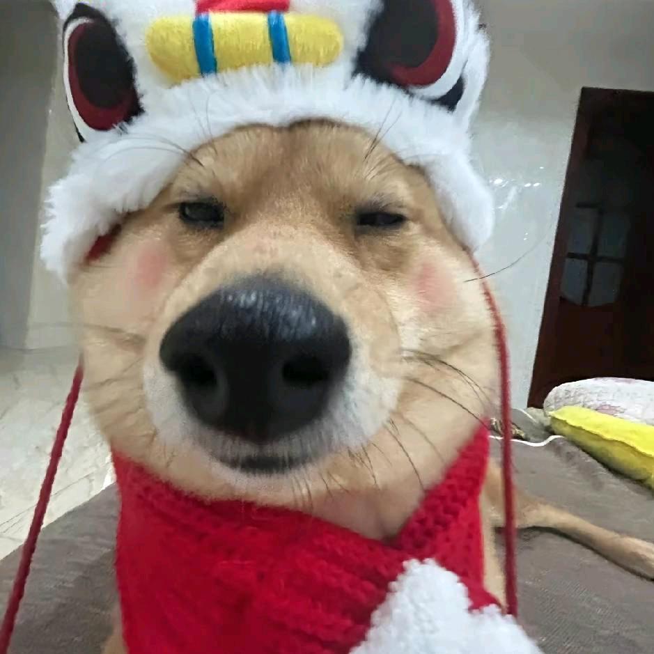 小鸡仔