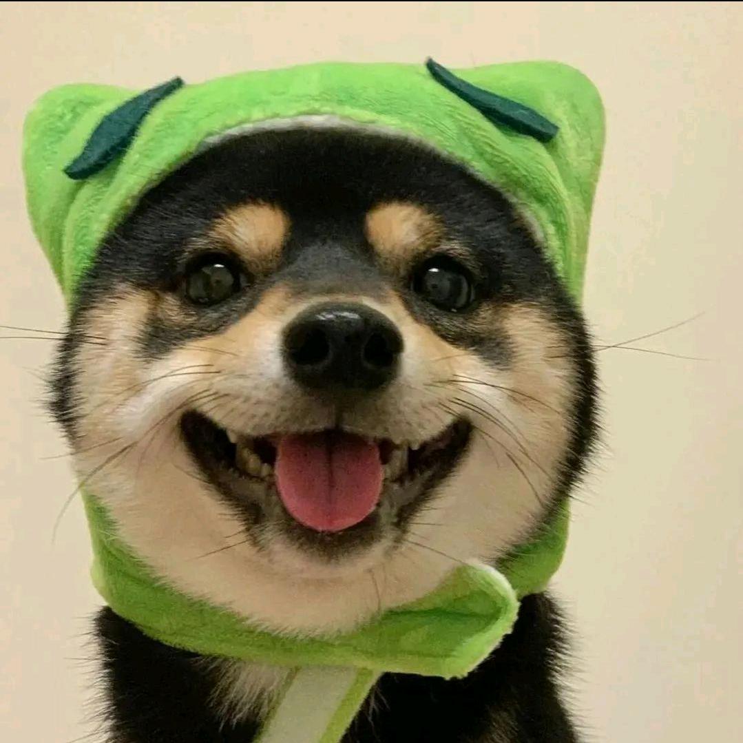 🐶🐶日记