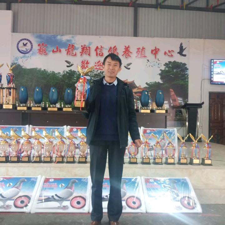 杨靖