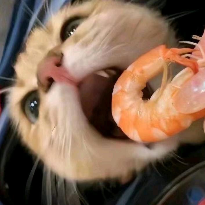 (￣▽￣)～■干杯
