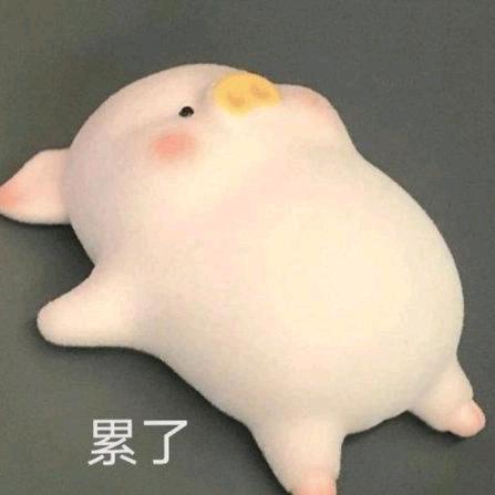 floatingpig