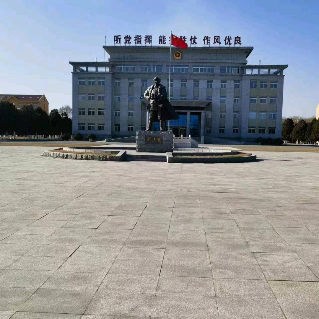 震儿
