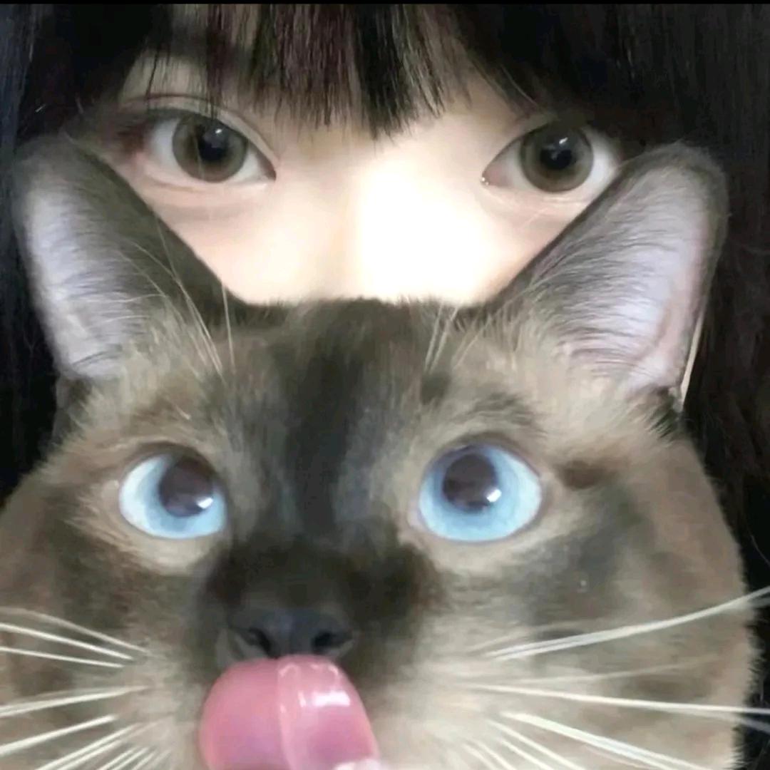 我是一只小花᳐猫᳐੭ﾞ喵喵喵喵喵