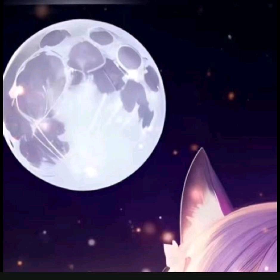 鸿运当头💝