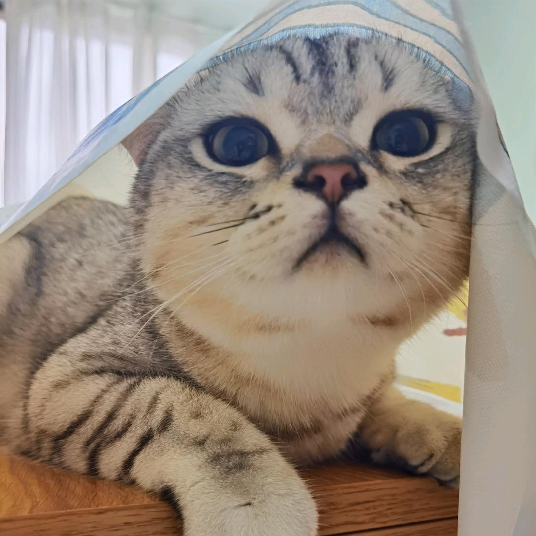 程