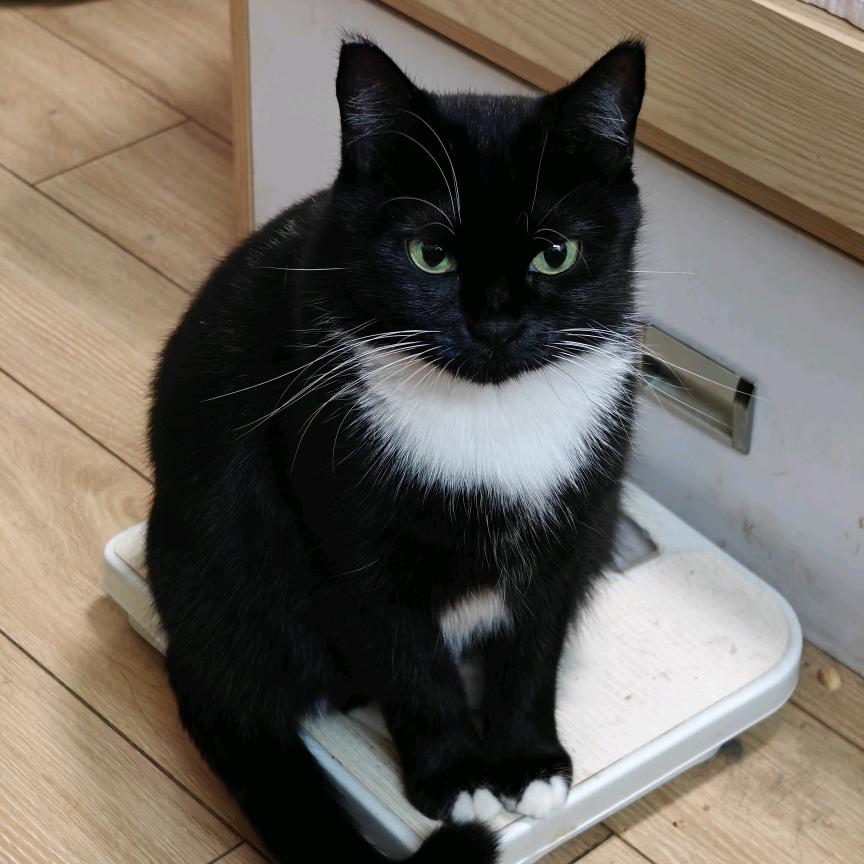 大侠，请重新来过