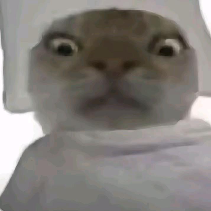 和平魔怔B