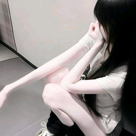布偶