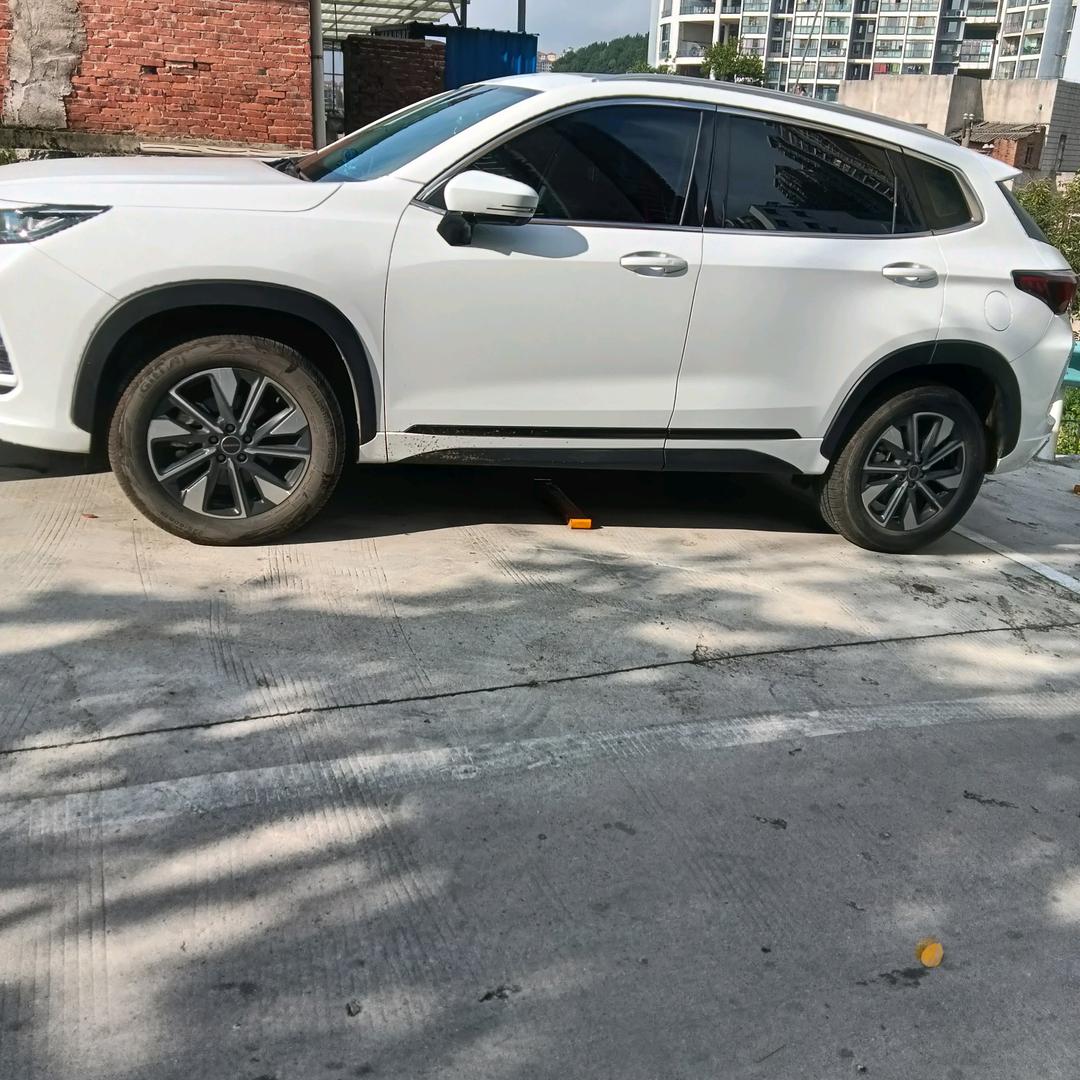 事业有成