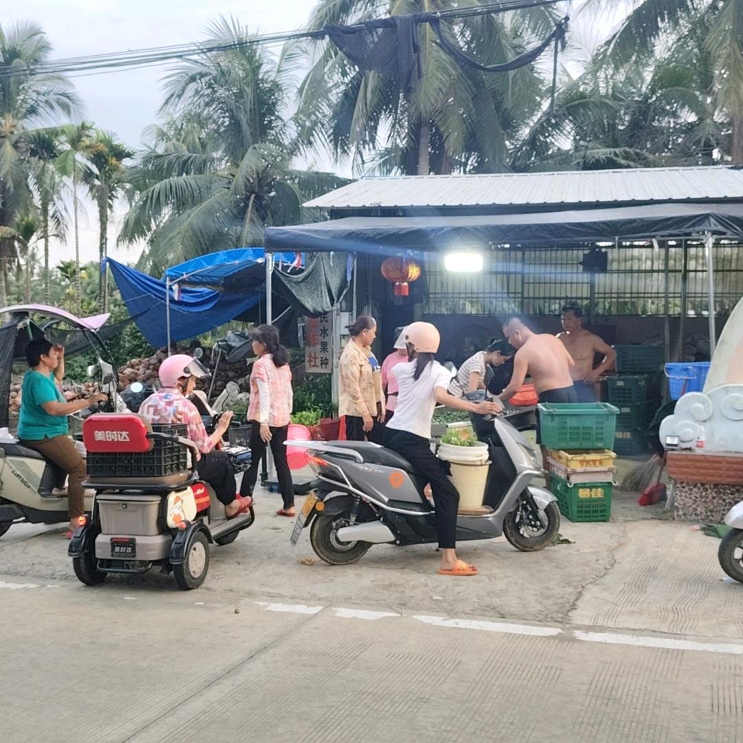 琼海四季富民水果种植农民专业合作社