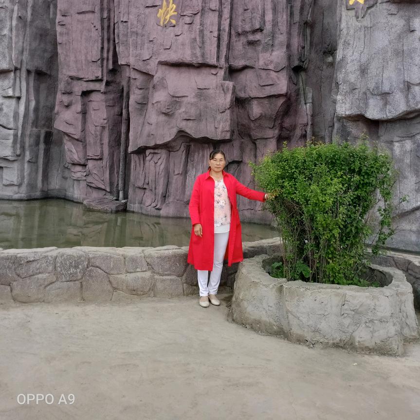 用户89081411红尘过客