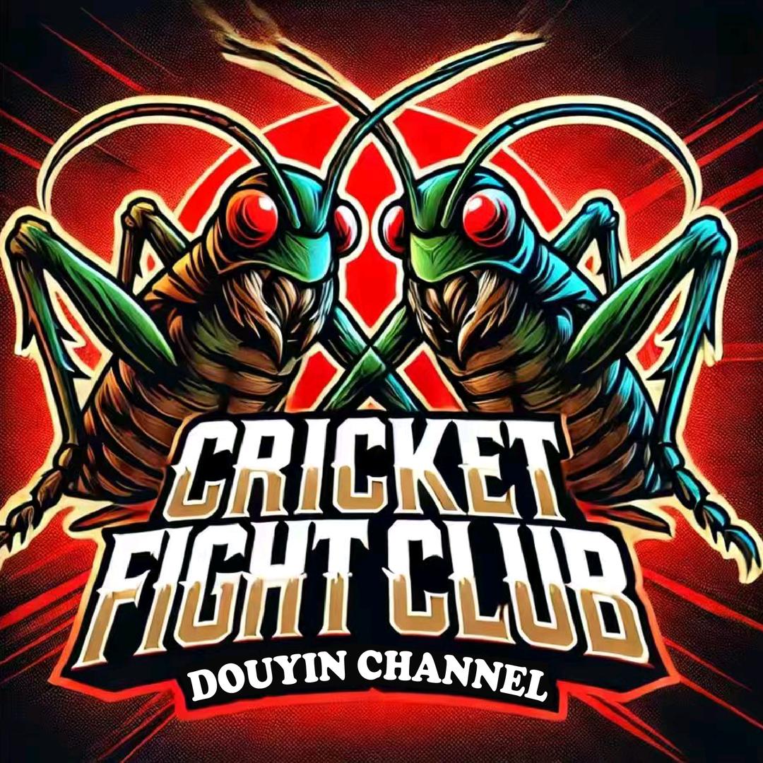 超级🔥🔥火黄混血系🔥🔥蟋蟀直播拍