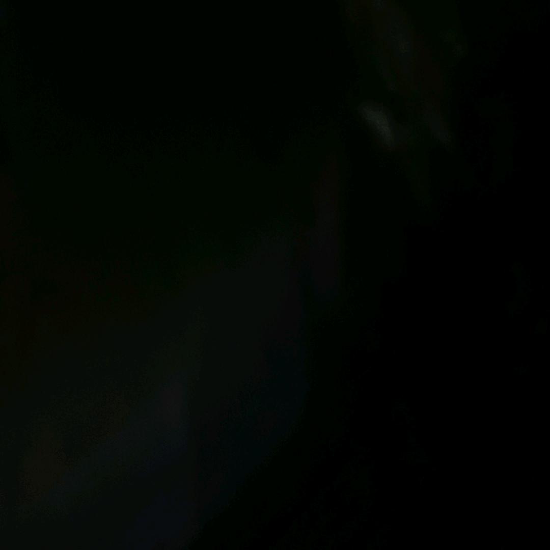 蛋仔小小丑
