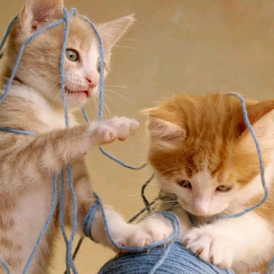 用户9237856276443孤独的人生