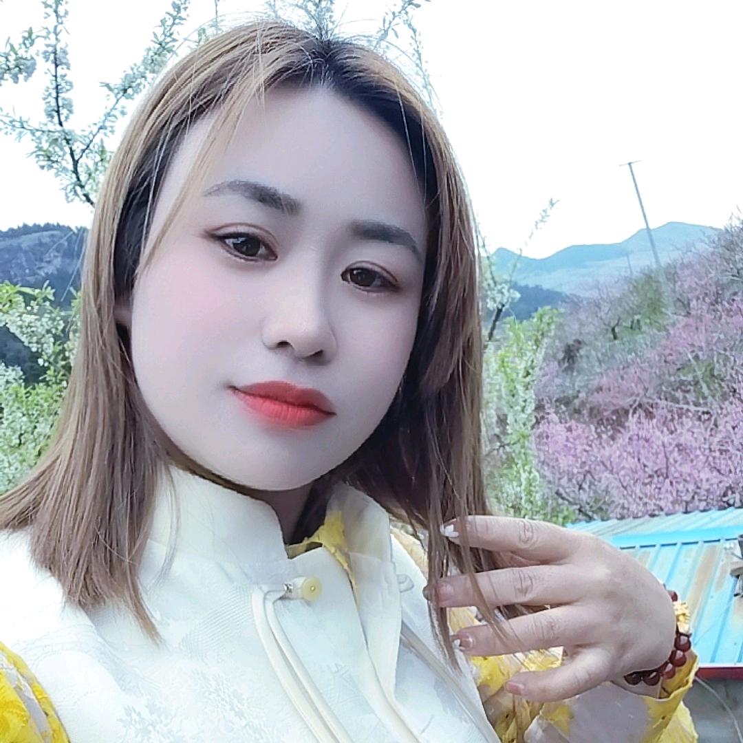 💤单身小歌💤