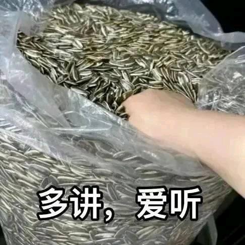 对不起我手滑了😇
