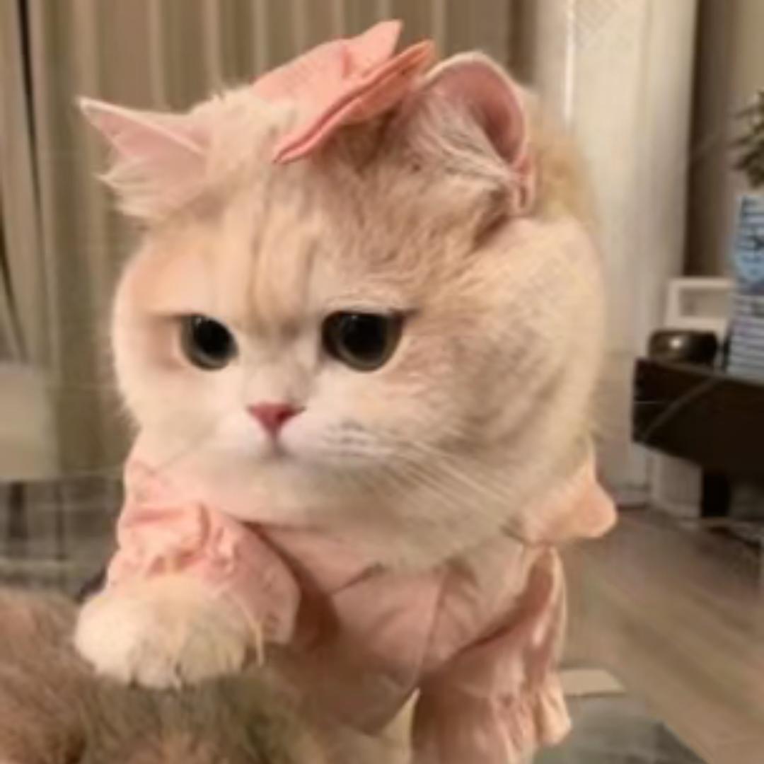 在睡亿分钟
