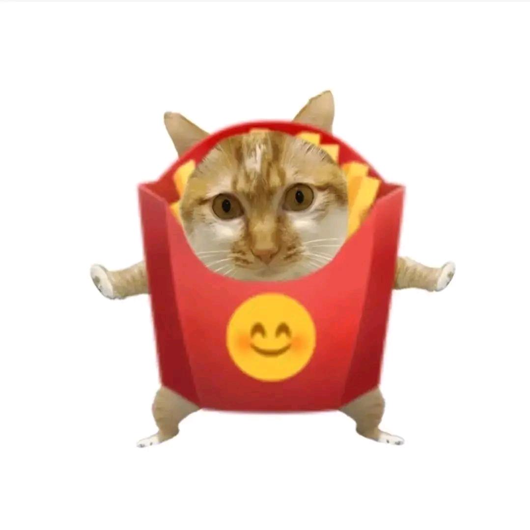 狂炫八碗饭_