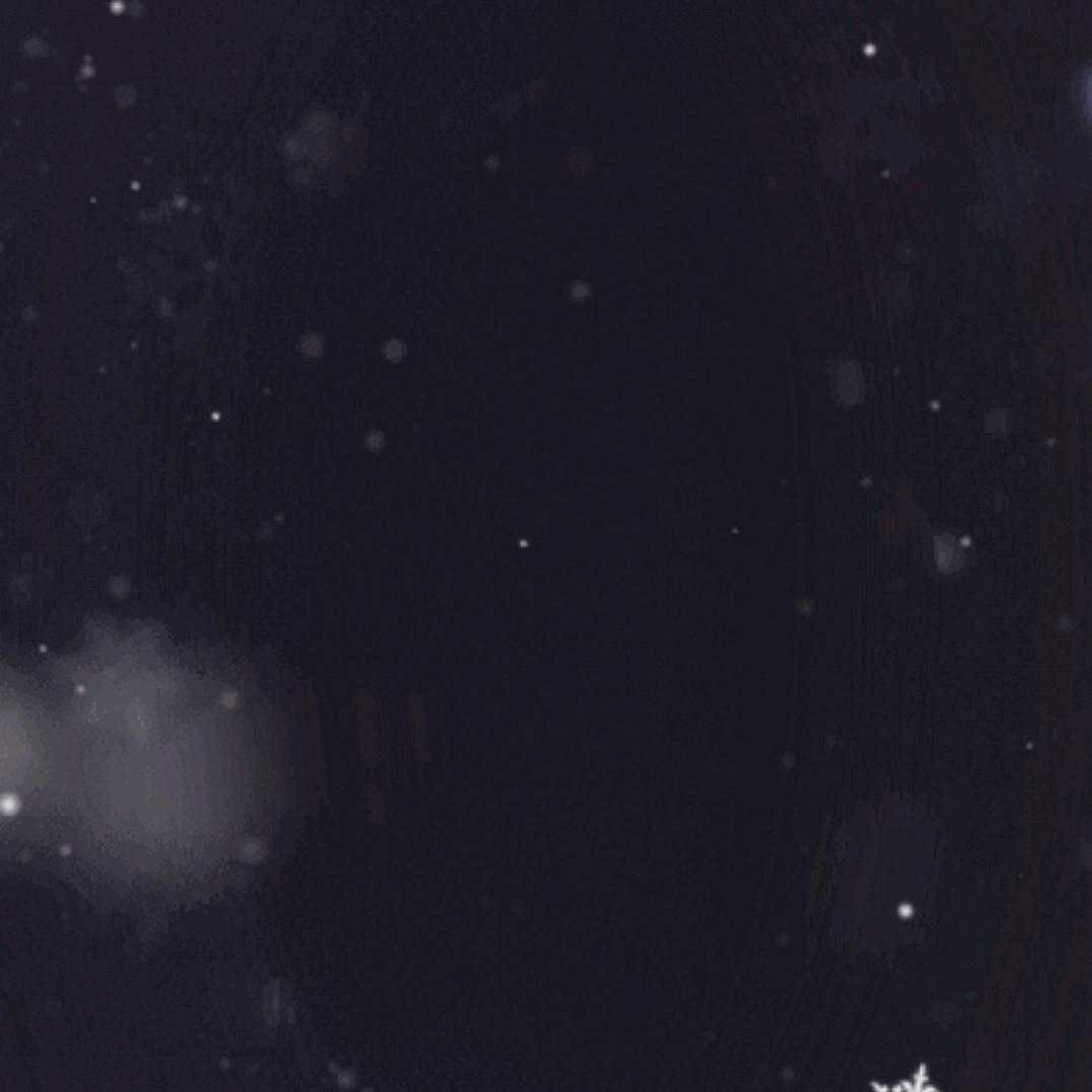 白天不懂夜的黑