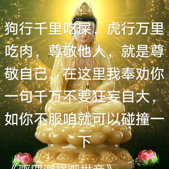 旭日东升<单身>