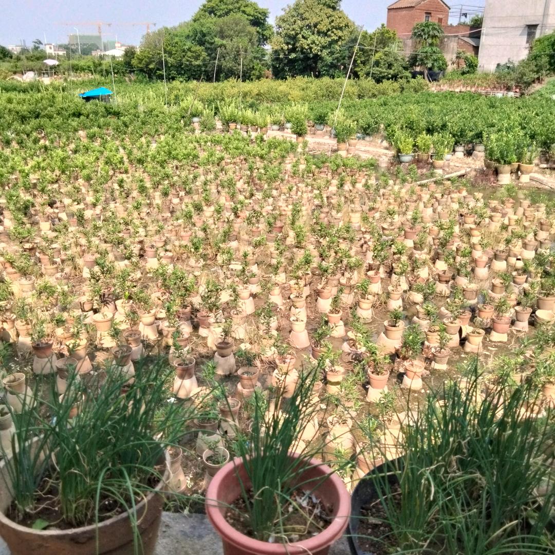 开开心心每一天