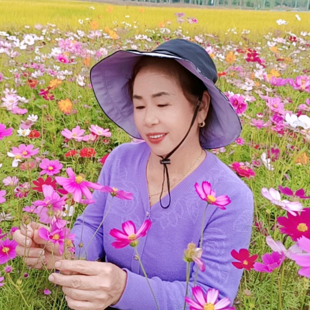 梅花姐