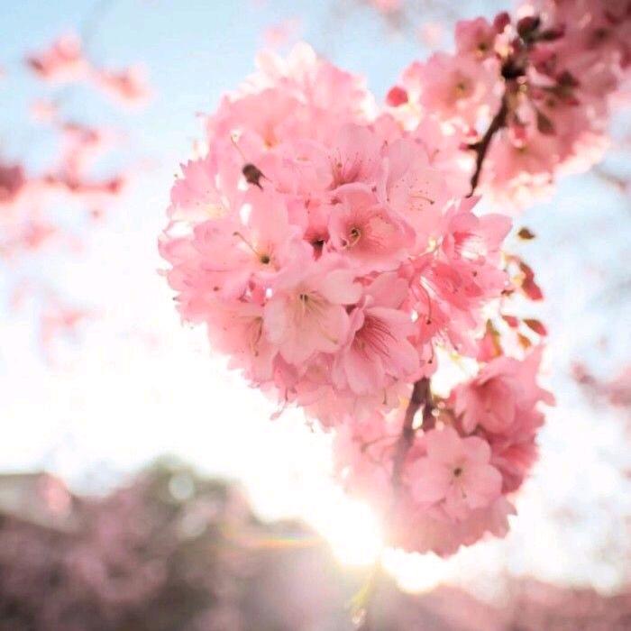 抖音用户16455797949