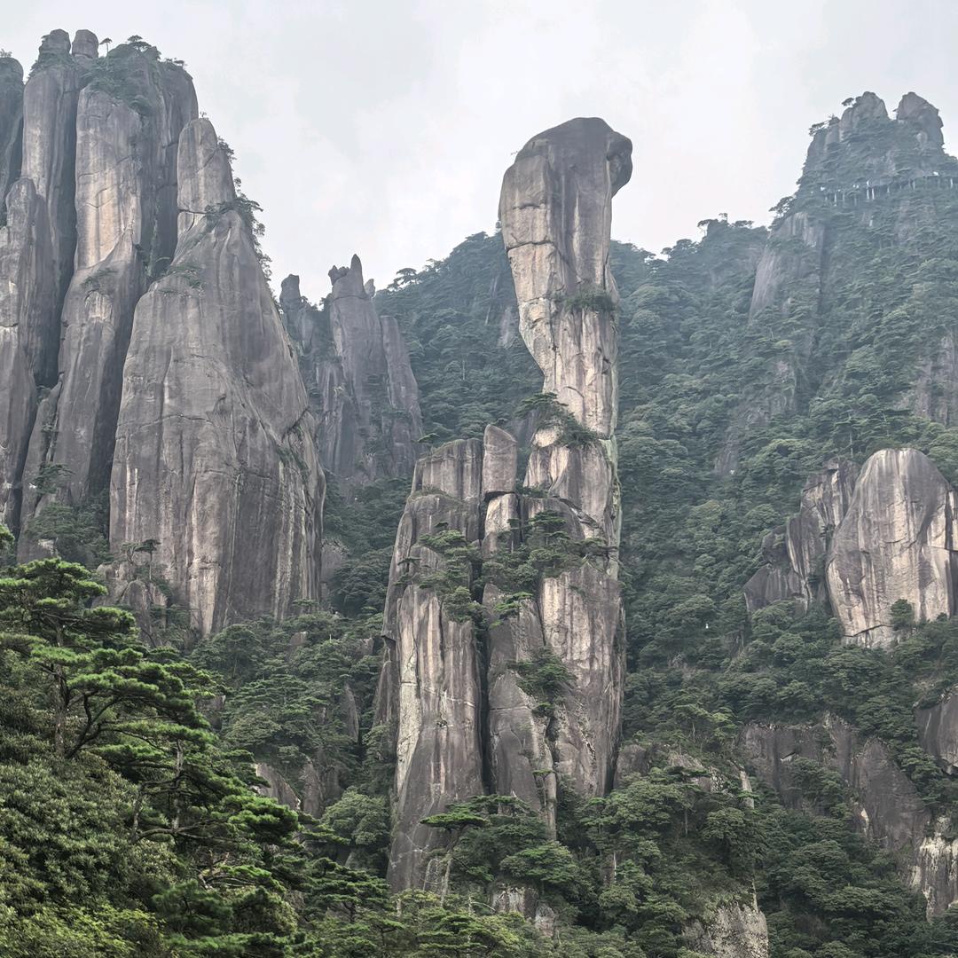 🍀🌈阿秀🍀🌿