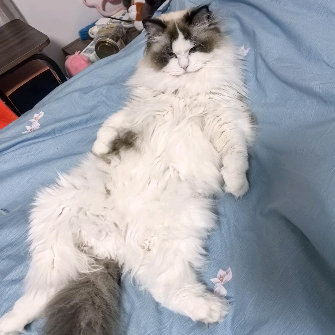 不愧本心