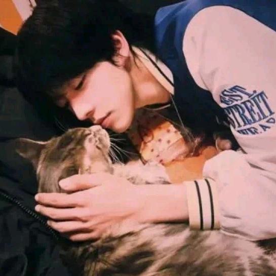 稚梦