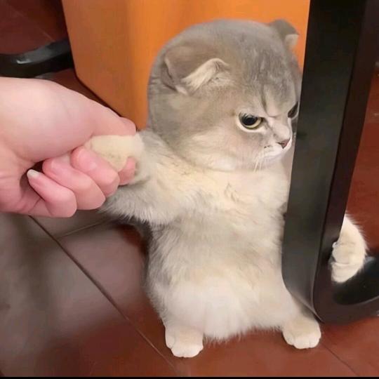 暴龙战士。。。