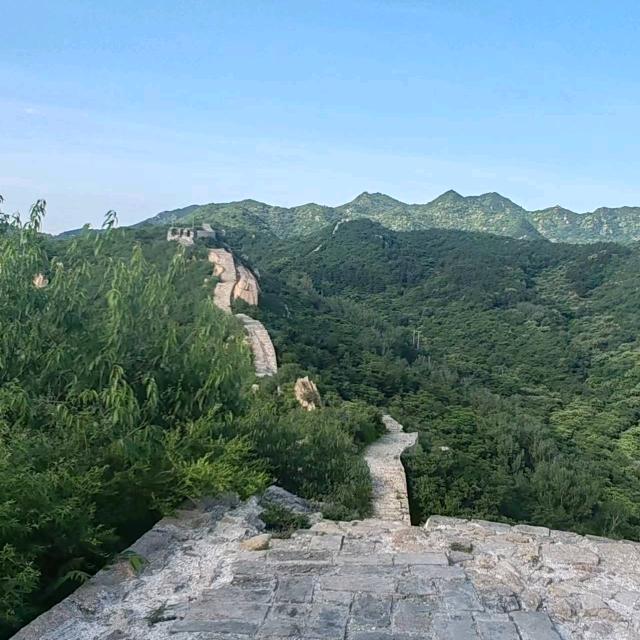 战狼