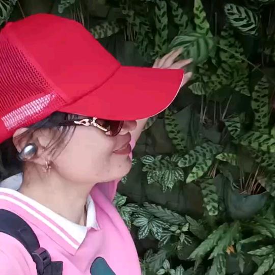 叶子🍁红了🌻