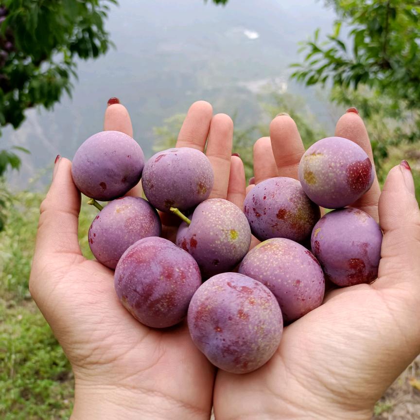 ᭙💕芳芳ཽ ࿐