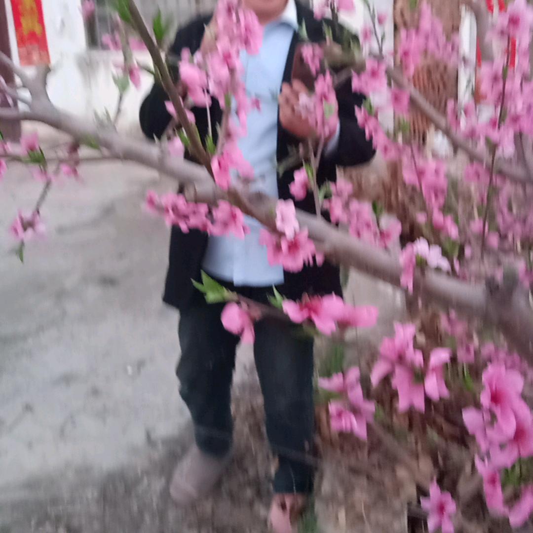 木目一颗心