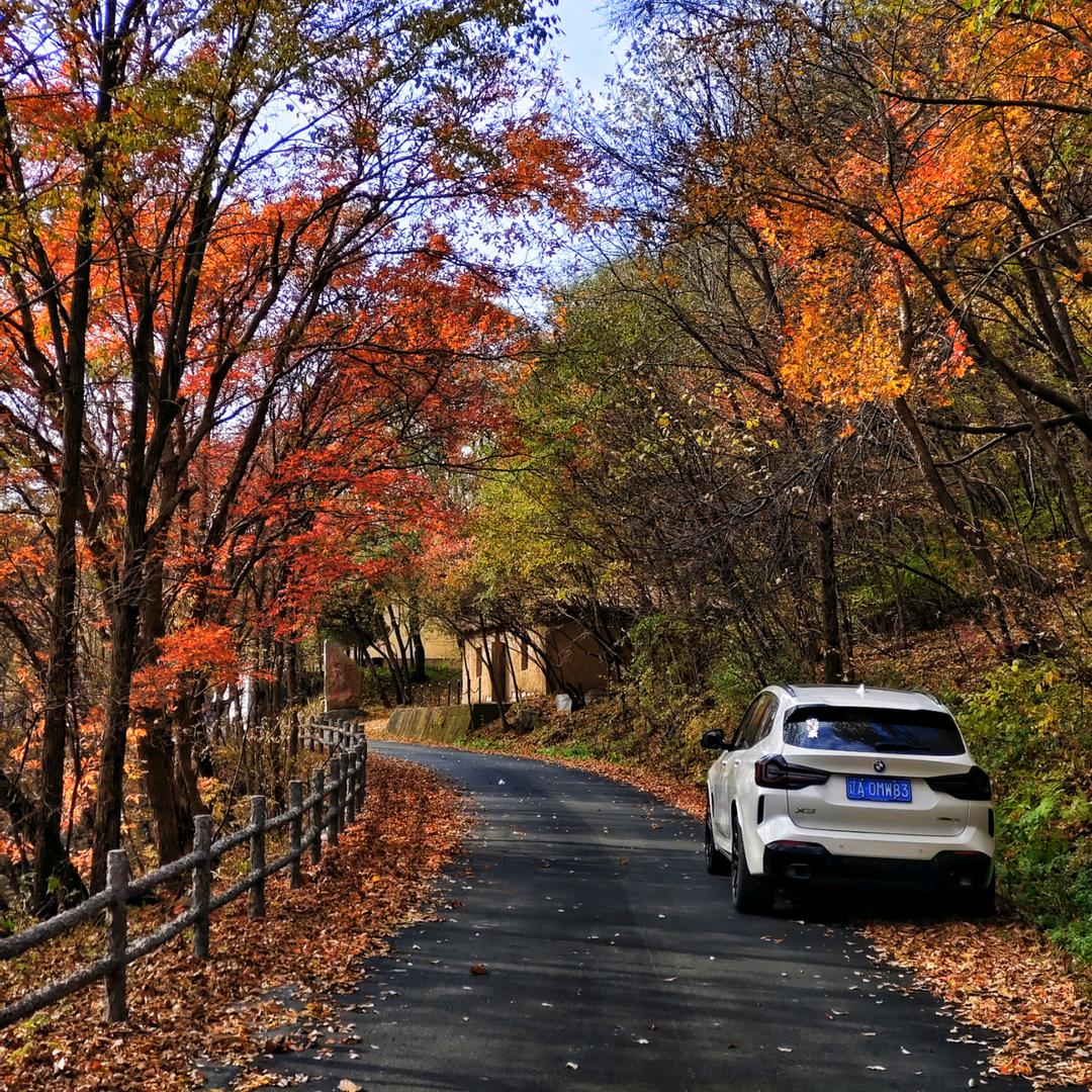 ༺ཌༀൢ Sunༀད༻