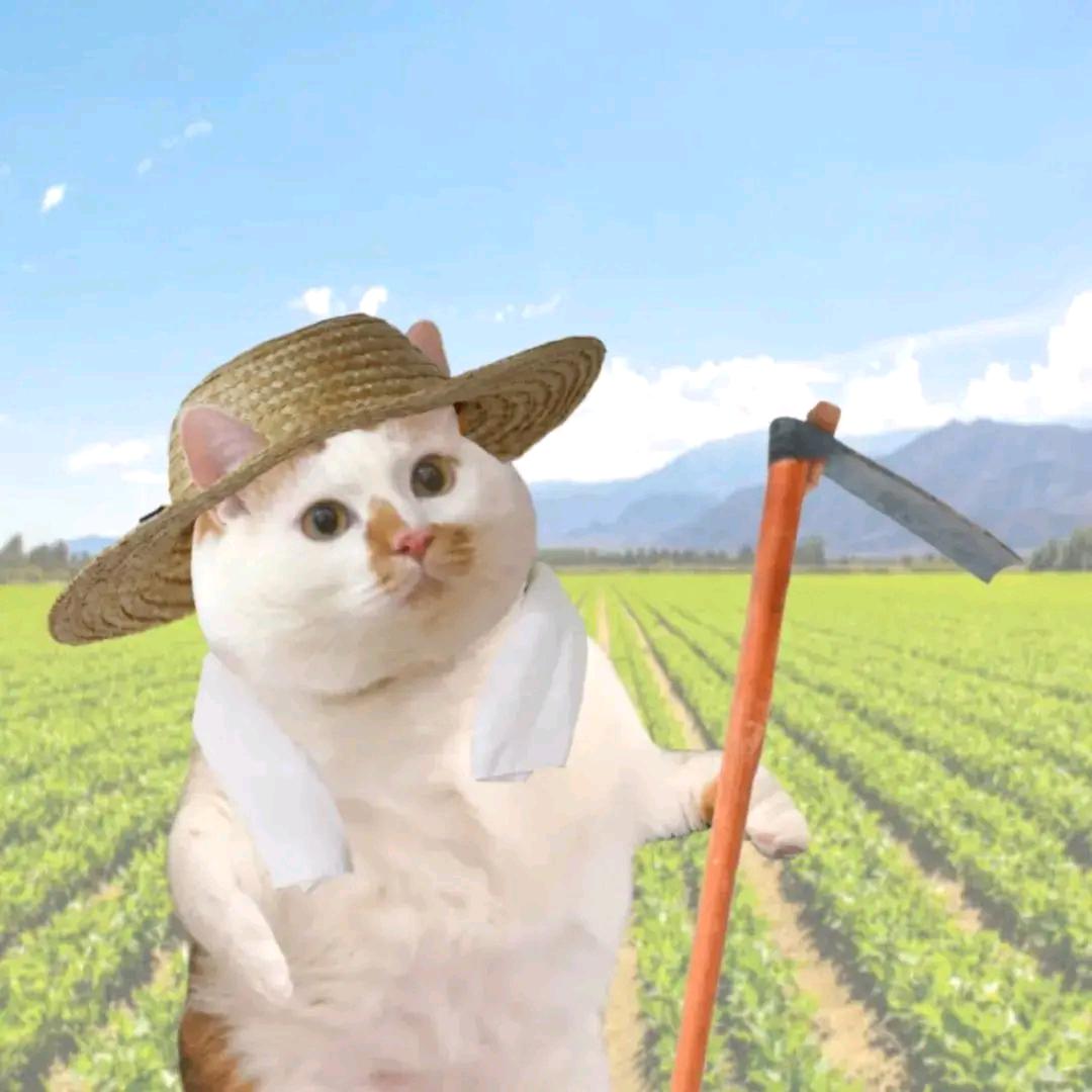 酷