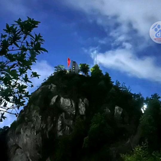 看不所有