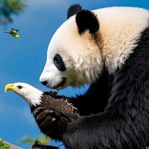 佑宁