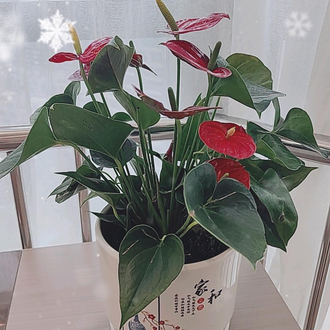 每天要开心！