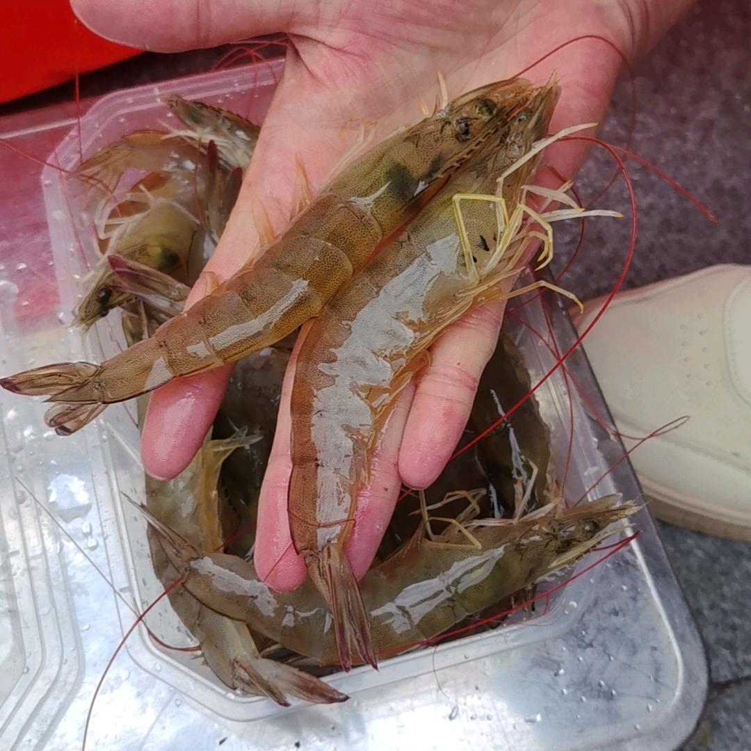 微山县鑫成水产养殖