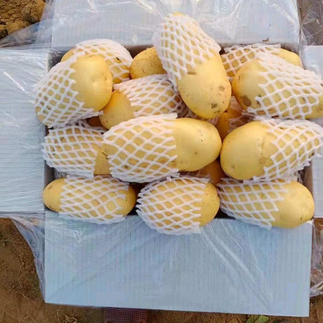 新疆果蔬甄选