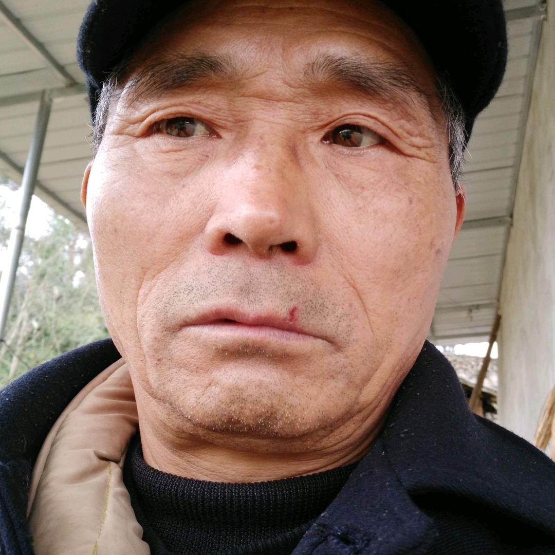 手机用户62540019786