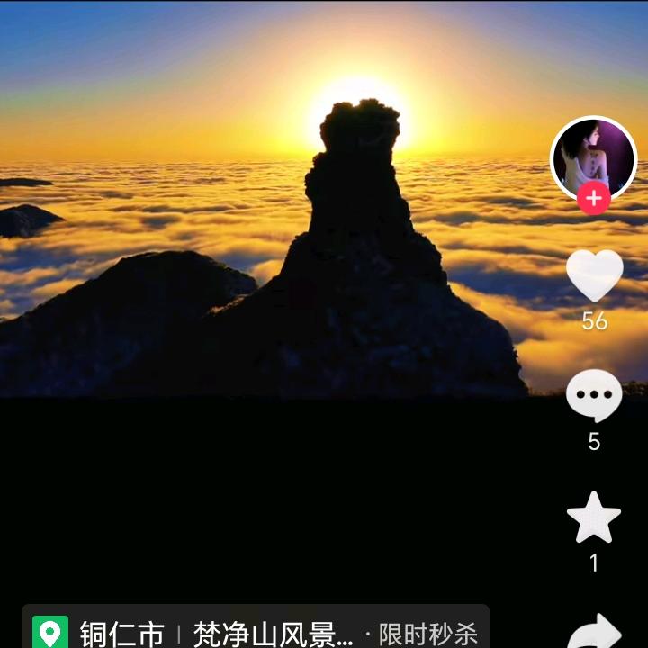 放飞自我