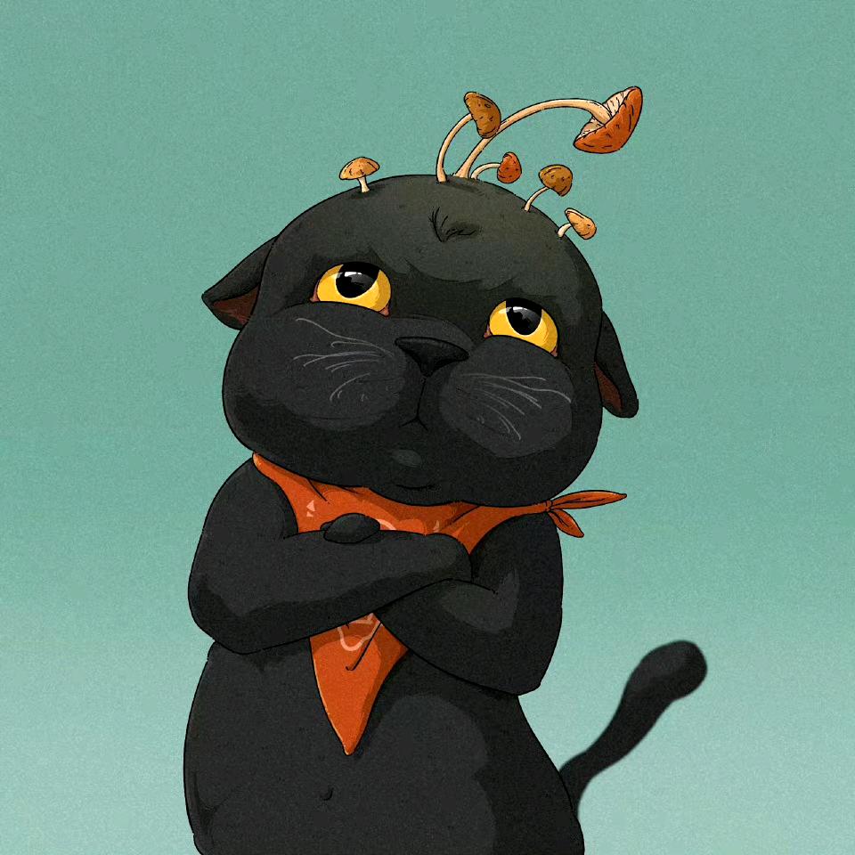 藏藏猫er