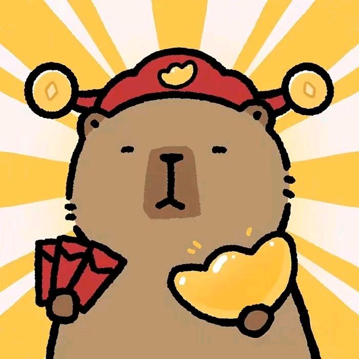 RR人机