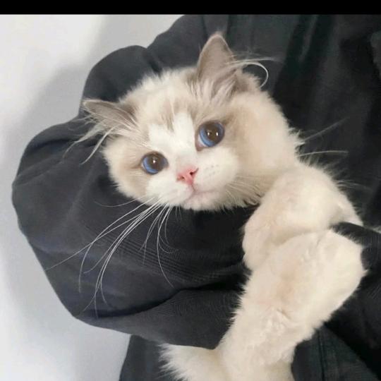 鄂州市华容区钊频瑜百货店（个体工商户）