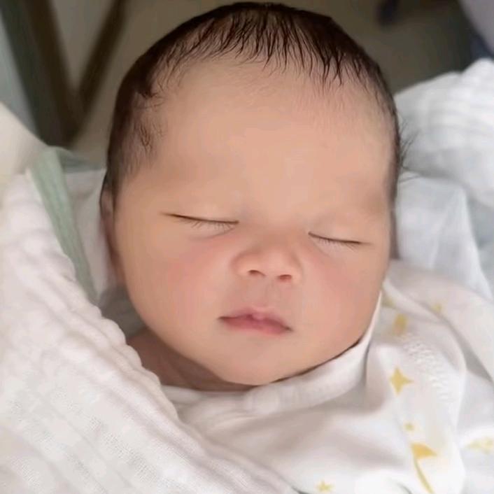 是鱼鱼妈妈呀