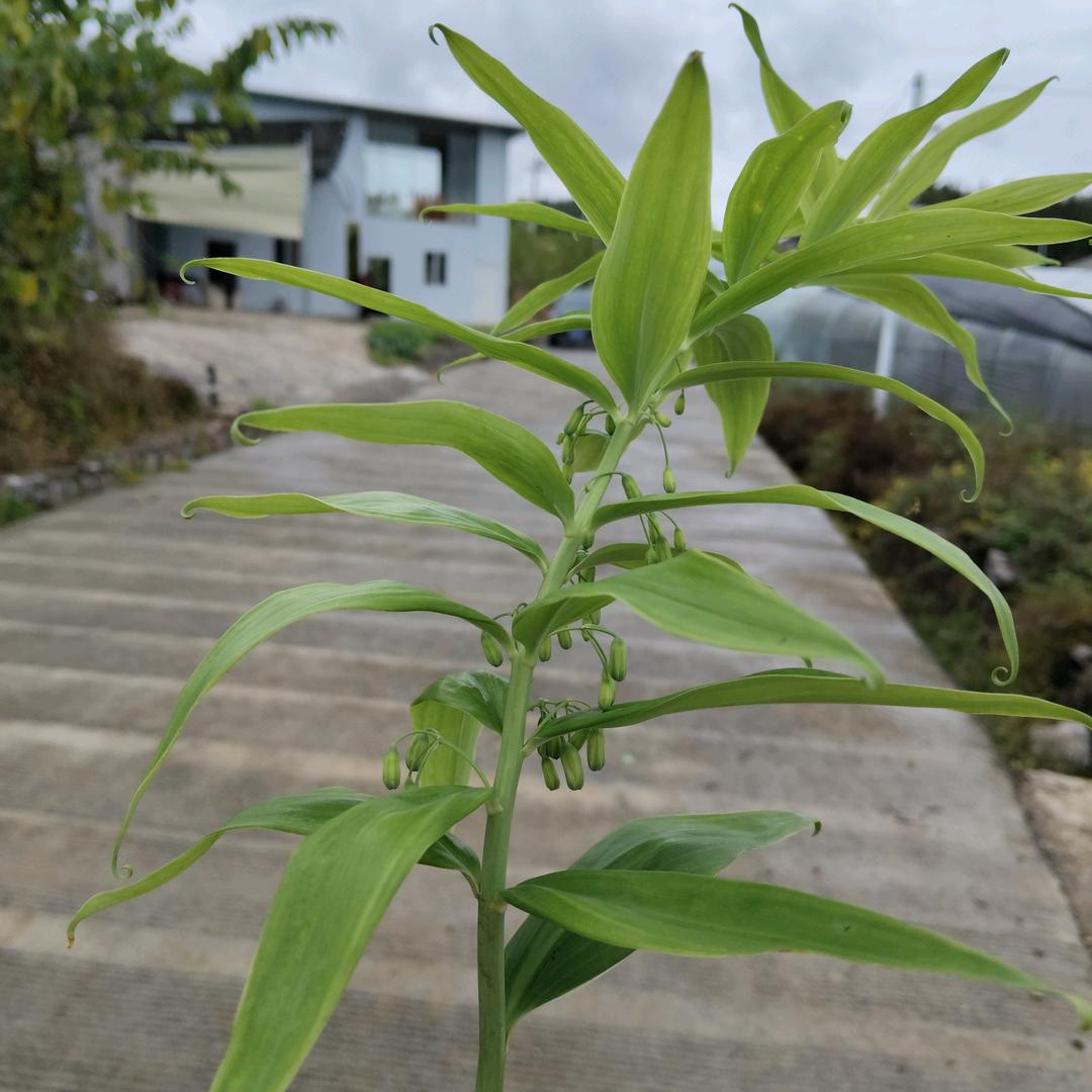 💖ღ余生᭄爱ღ自己᭄ꦿ꯭💖
