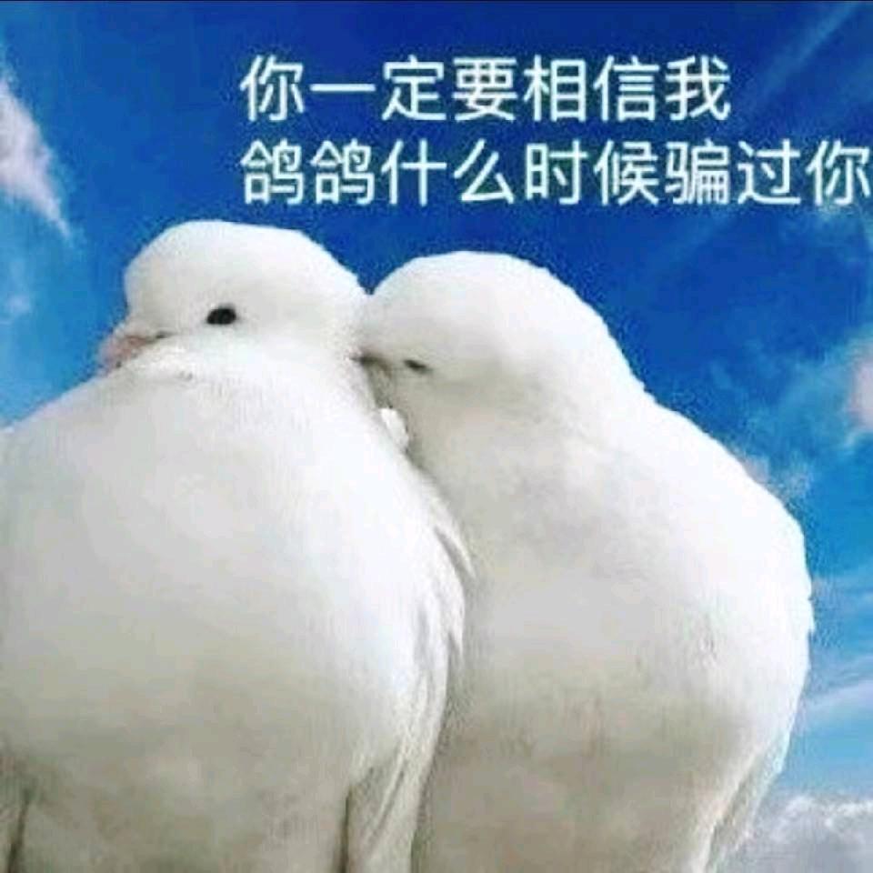 东东电竞考官沐云（三角洲行动）